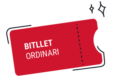 Billete Ordinario-02